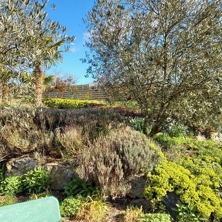Havre De Paix Et Jardin Tropical. Chambre Privee Le Rheu Dış mekan fotoğraf