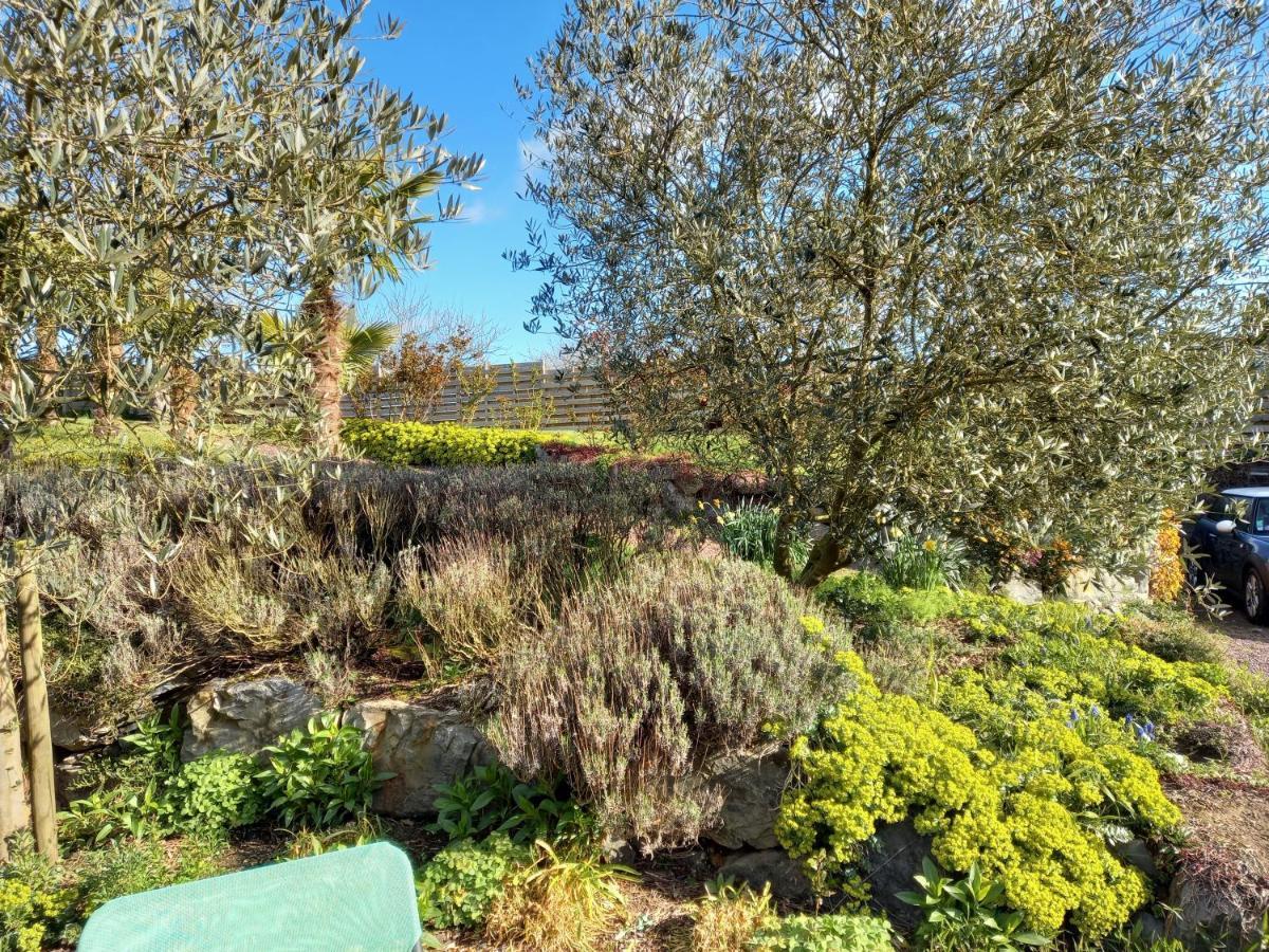 Havre De Paix Et Jardin Tropical. Chambre Privee Le Rheu Dış mekan fotoğraf